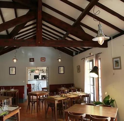 Camping Camping Le Muret Saint-Salvadou